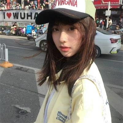 梅花档案